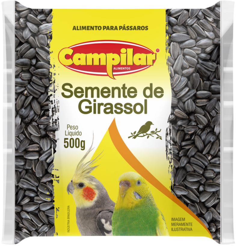 SEMENTE DE GIRASSOL CAMPILAR 500G